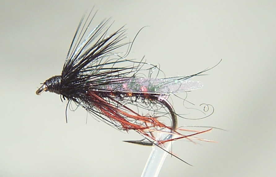 Dry fly for Rudd  Fly Fishing Forum